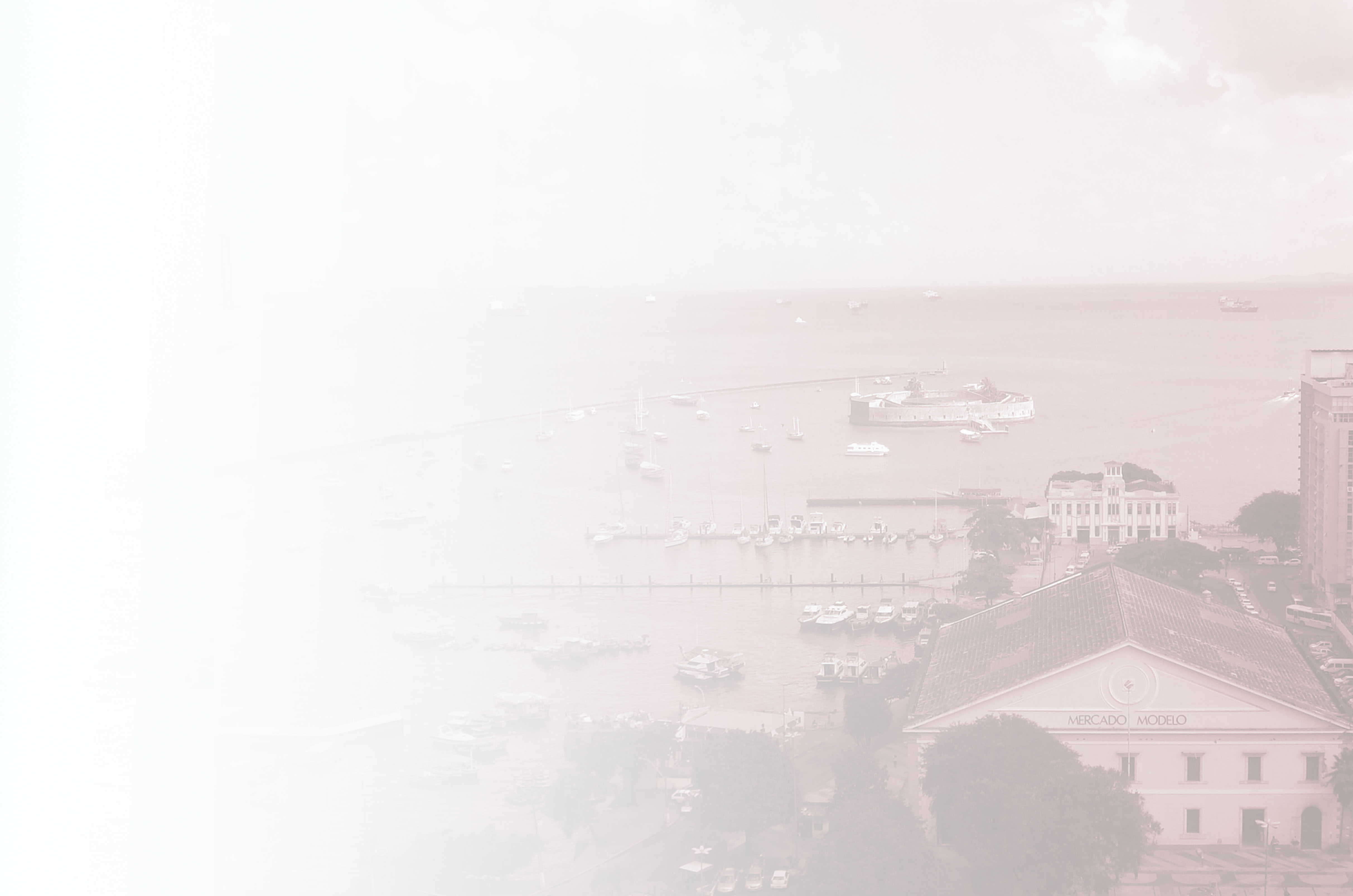 banner-brazil-advocacia